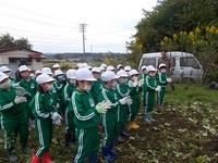 いよいよ収穫！