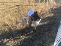 土手の下にも！