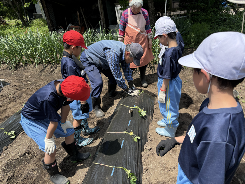 3D701402-F050-4B86-BD0E-7B37F7C08F86-L0-001