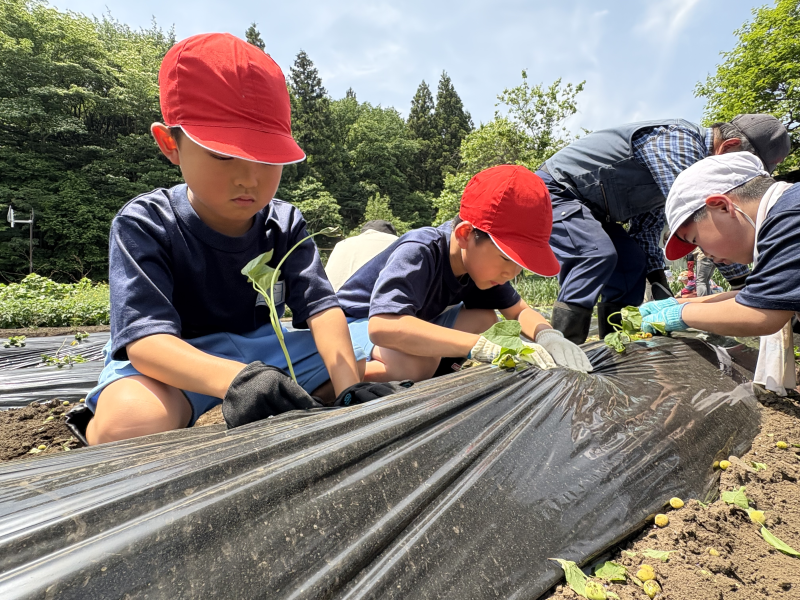 06AA84DC-FCD5-4628-A1F2-1D0ADB8CEAF8-L0-001