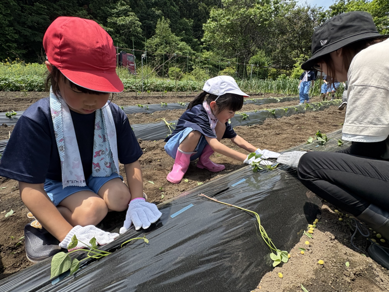 AFFBCE82-CD1B-4C79-939A-9855824DD75D-L0-001