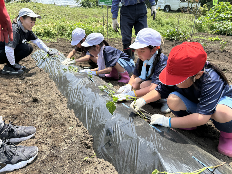 C77FF2D4-305A-4B06-80FF-C505CB959C87-L0-001