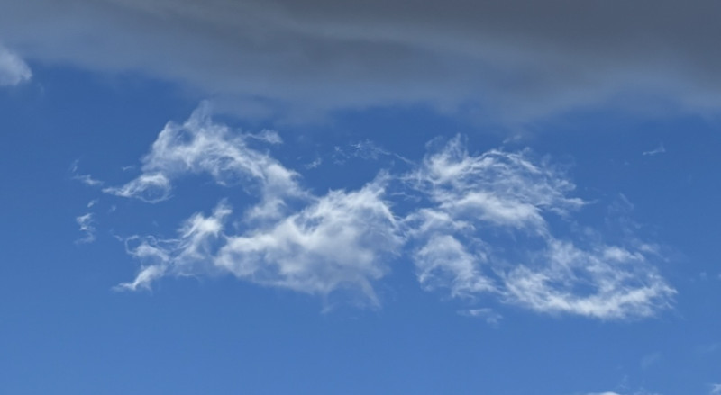 IMG_0635 - コピー