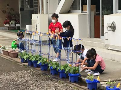 今日の子どもたち 白河市小中学校ポータル